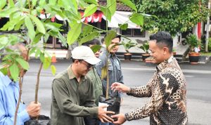 penyerahan bibit tanaman