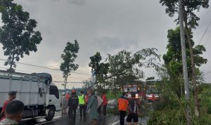 WhatsApp Image 2026-03-04 at 21.02.47